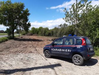 Castellarano. Col caterpillar disbosca oltre 100 alberi su area di 11.370 mq, denunciato imprenditore