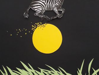 Omaggio ad Achille, zebra morta a Reggio