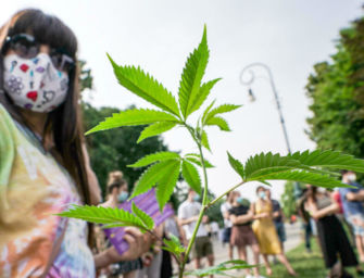 Denuncia di Possibile: Reggio tra i Comuni che boicottano referendum sulla cannabis legale