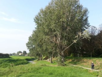 Mab Unesco. Reggio inserita nella Riserva Biosfera dell’Appennino tosco-emiliano