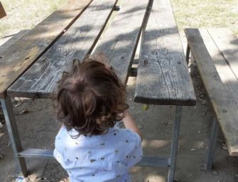 La denuncia di Cadelbosco per Tutti: ancora atti vandalici nei parchi