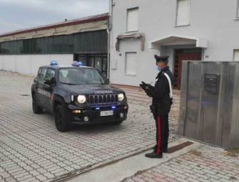 Gualtieri. Ha l’asilo politico, filmato mentre ruba in un’azienda: arrestato