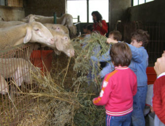 Fattorie Emilia, il 17 la Giornata alimentazione