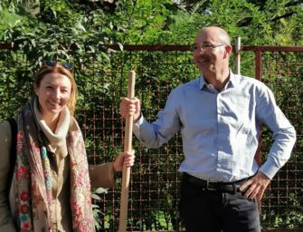 Reggio. Con nuovi alberi e rotonda, Vecchi: viale Umberto sarà più bello