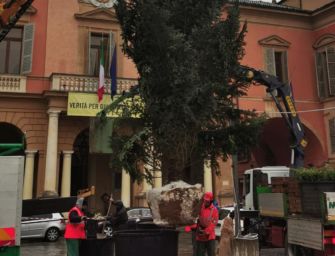 Reggio. In piazza Prampolini è già arrivato l’albero di Natale