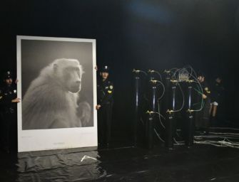 Reggio, “Bros” di Romeo Castellucci al teatro Cavallerizza