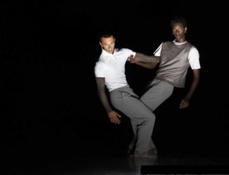 Reggio, il 4 novembre la danza in Fonderia con il progetto Swans