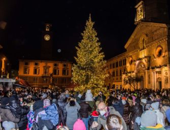 Reggio. In piazza Prampolini sono accese le luci dell’albero Camillo