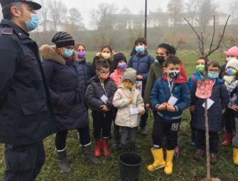 Reggio. Carabinieri forestali donano alberi alle scuole