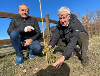 Parco, quercia è la miliardesima pianta