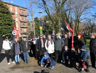 La proposta: alberi a Reggio per ricordare
