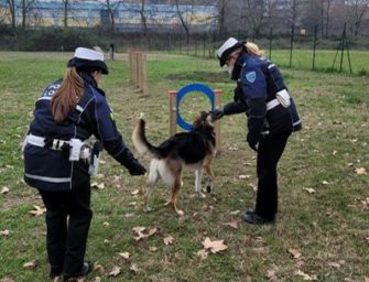 A Modena un’area mobility dog contro i maltrattamenti animali