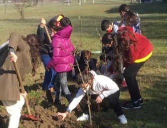 Reggio. Piantumati 70 nuovi alberi al parco Nilde Iotti