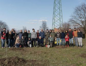 Reggio. Al parco Nilde Iotti 50 nuovi alberi donati da una coppia di sposi