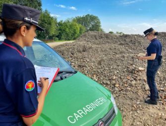 Gualtieri. Animali tenuti in spazi angusti, multa da 9mila euro ad azienda agricola