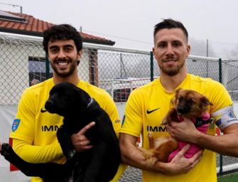 Lentigione, già 60 i cuccioli adottati