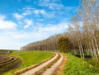 “Reggio Emilia città dei sentieri”, presentati i 15 itinerari