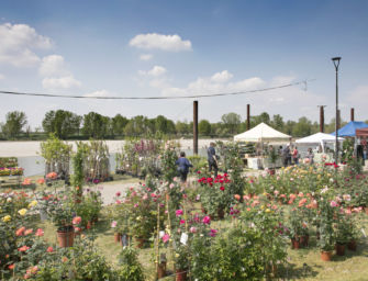 Georgica nello scenario di Lido Po di Guastalla