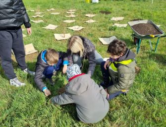 Giornata dell’albero. Distribuzione gratuita di 4.000 piante ai cittadini reggiani