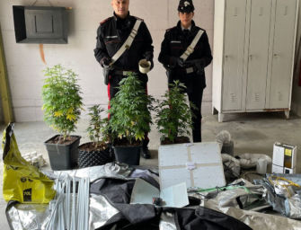 Gattatico. Trasforma l’antibagno in una serra per coltivare piante di marijuana: denunciato