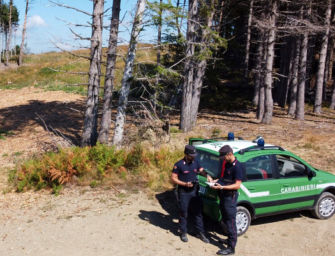Irregolarità nei tagli boschivi a Ramiseto, sei persone denunciate dai carabinieri forestali