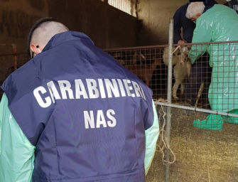 Controlli dei Nas di Parma sulla sicurezza veterinaria in Emilia: sequestri e sanzioni per più di 7.000 euro