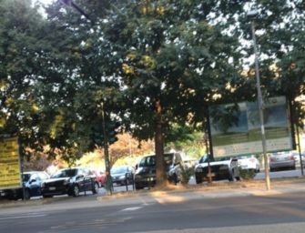 Reggio. “Sono ammalati”, il Comune abbatte 10 alberi in città