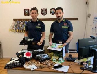Correggio. La Gdf sequestra 714 bulbi di papavero da oppio: due denunce