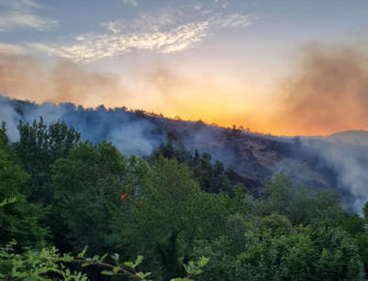 In Emilia-Romagna via libera della giunta al nuovo piano regionale contro gli incendi boschivi