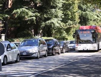 Reggio. Potature di alberi, cambia la viabilità in viale Isonzo (circonvallazione)