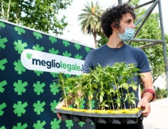Cannabis. Santori al Pd: siete come la Lega. Non solo a destra tifano per il mio arresto