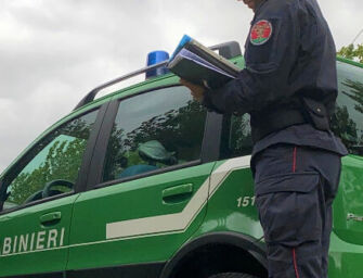 Carpineti. Controlli dei carabinieri forestali in aziende agricole e allevamenti reggiani: sanzionati due agricoltori