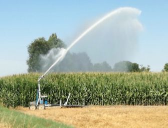 Emilia, mais più che dimezzato dalla siccità