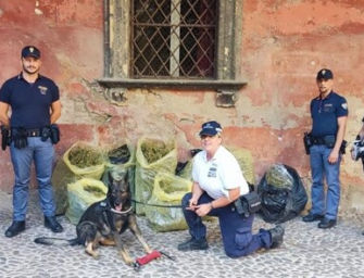 Bologna. Controlli della polizia nell’ex caserma Stamoto, trovati 17 kg di piante e foglie di marijuana