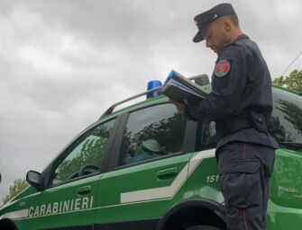 Controlli nelle aziende agricole, multa da oltre mille euro a Luzzara