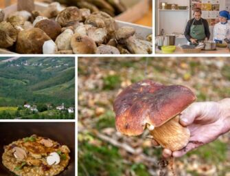 Ad Albareto la 25esima Fiera Nazionale del Fungo Porcino