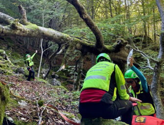 Cavalbianco. Si schianta in mountain bike nel bosco: ragazzo di 17 anni in codice rosso in ospedale