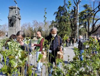 Sabato 4mila piante gratis per i reggiani