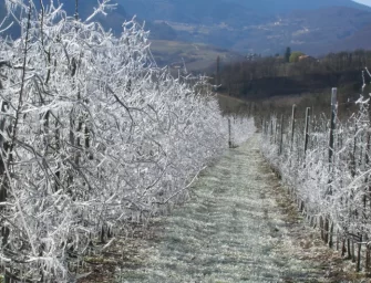 Sciabolata di gelo sulla Valle Padana