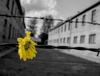 Giorno della Memoria, 80 anni dopo l’Emilia-Romagna non dimentica le vittime della Shoah