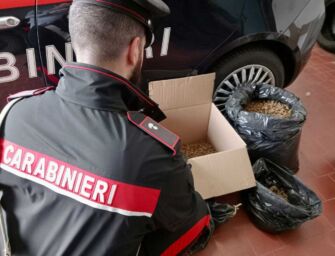 Scandiano. Nel casolare che occupava abusivamente teneva oltre 5 kg di droga