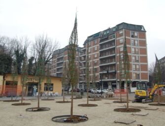 Reggio, 28 nuovi aceri campestri a Porta Castello per la passeggiata estense