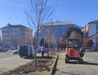 Reggio, 95 alberi in via Cecati e nei parchi di Massenzatico e Buco del Signore