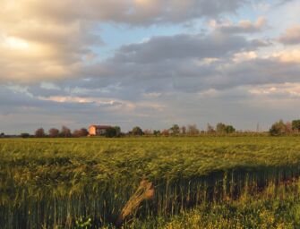 A Guastalla una mostra su come muta la nostra campagna