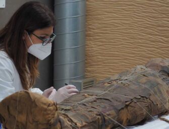 Due rare mummie svelate al Museo Civico Archeologico di Bologna