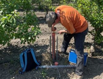Siccità. Falda freatica in sofferenza: Reggio la più colpita, -80%