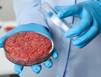 Stop a carne sintetica, multe da 60mila euro
