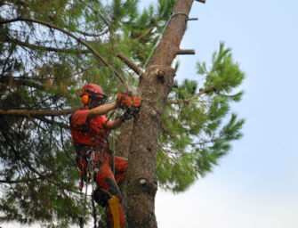 Da lunedì chiuso il Lungo Crostolo tra viale Umberto I e via Lago Calamone