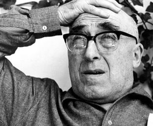 Reggio. Visita guidata alla mostra su Zavattini tra parola e immagine