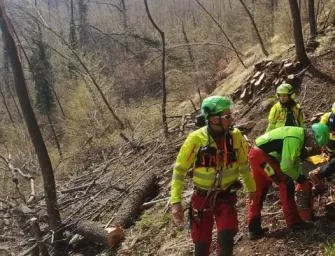 Boscaiolo ucciso da un albero a Monzuno